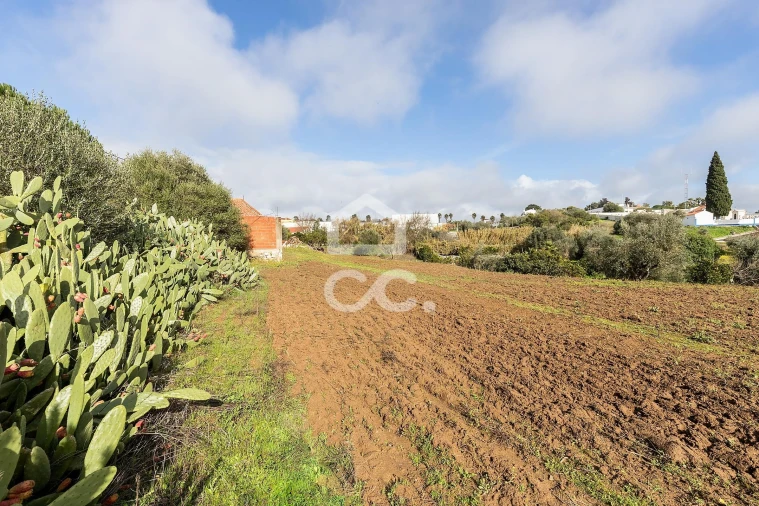 Quinta T5 para Venda em Torrão Foto 39