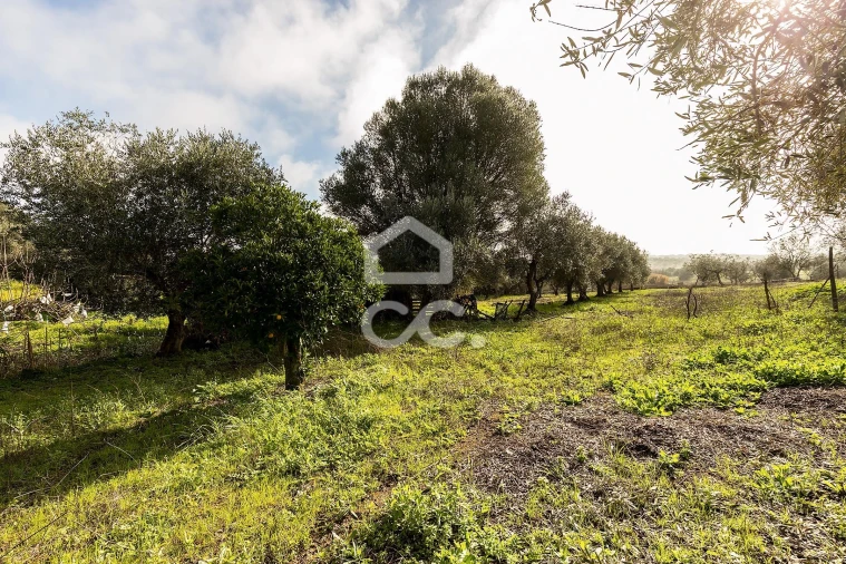 Quinta T5 para Venda em Torrão Foto 64