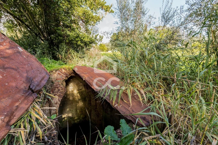 Quinta T5 para Venda em Torrão Foto 65