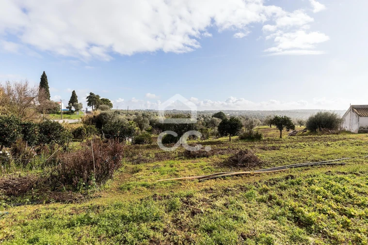 Quinta T5 para Venda em Torrão Foto 50