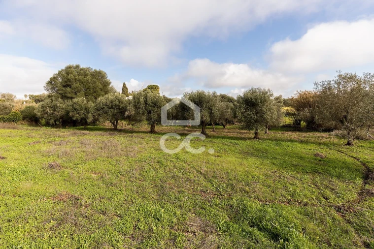 Quinta T5 para Venda em Torrão Foto 63