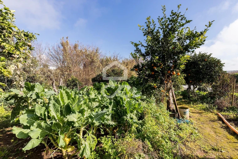 Quinta T5 para Venda em Torrão Foto 48