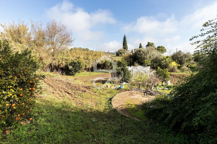 Quinta T5 para Venda em Torrão Foto 44