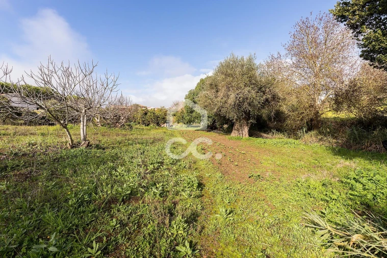 Quinta T5 para Venda em Torrão Foto 38