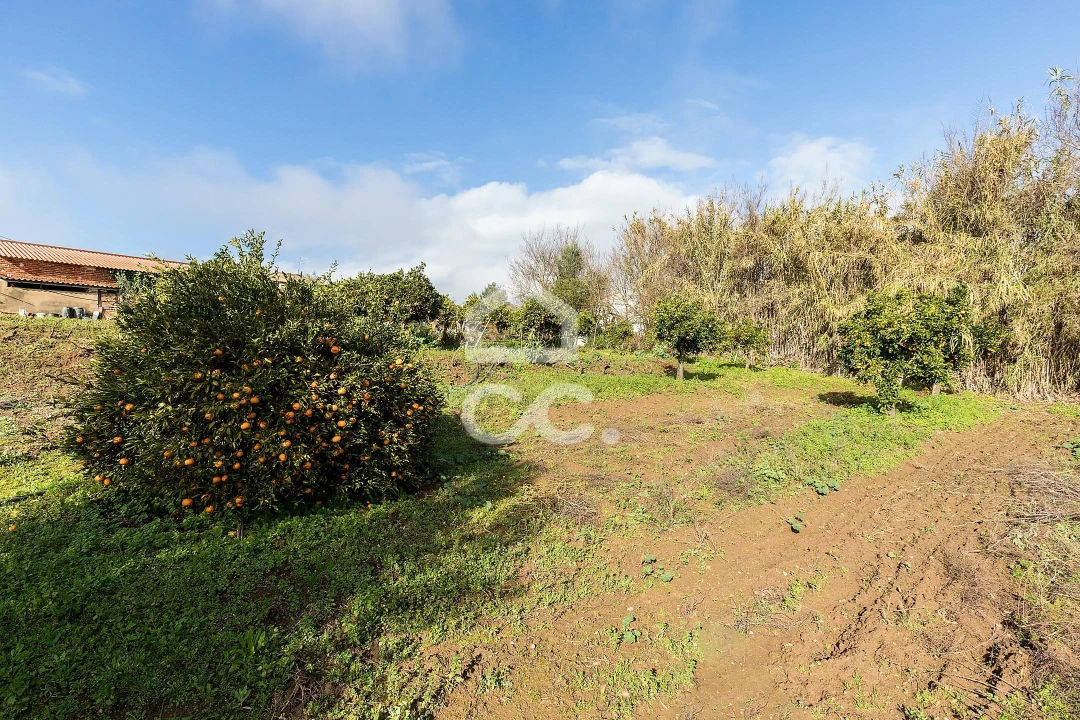 Quinta T5 para Venda em Torrão Foto 70