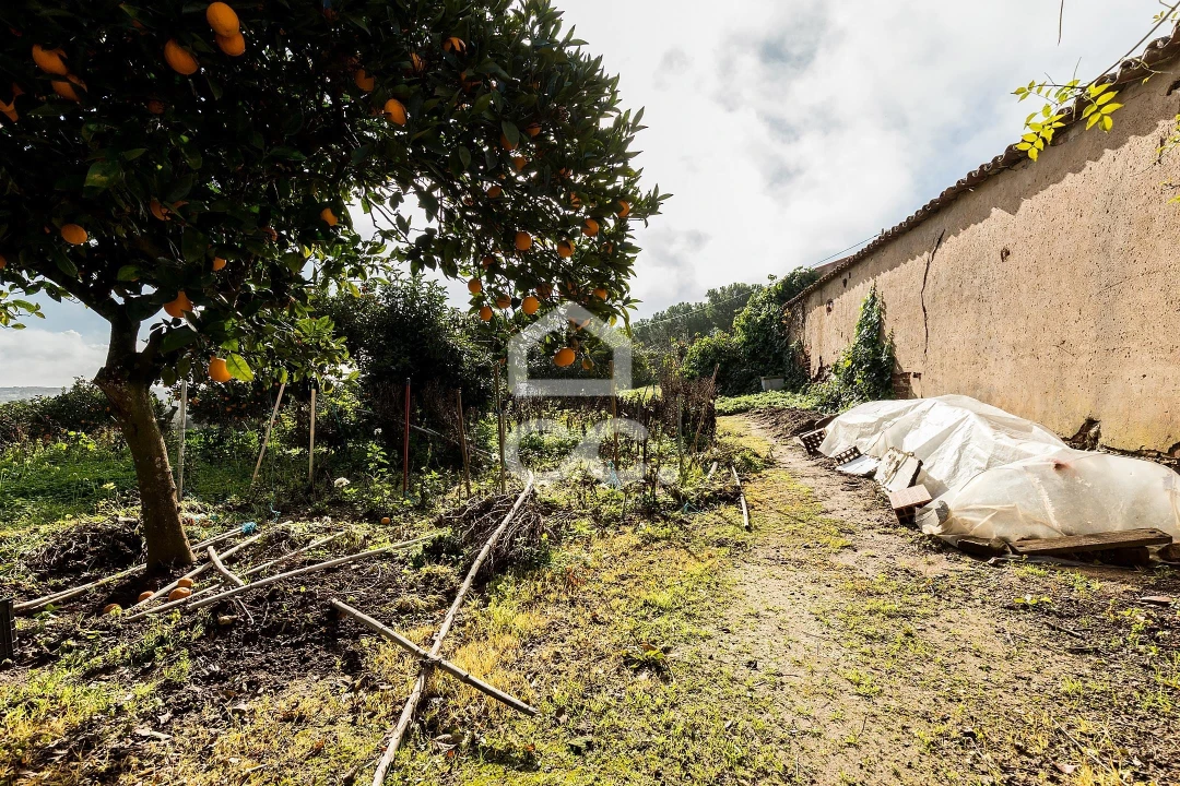 Quinta T5 para Venda em Torrão Foto 42