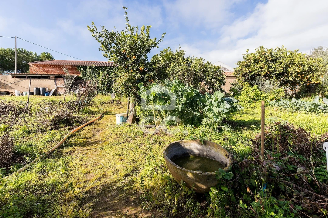 Quinta T5 para Venda em Torrão Foto 68