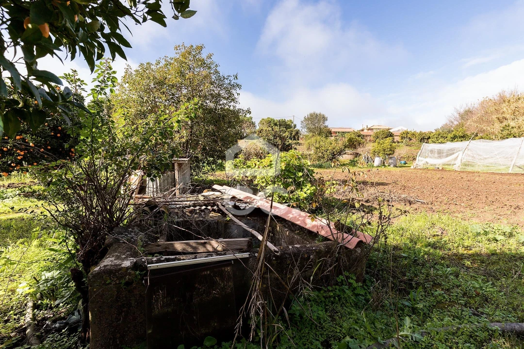 Quinta T5 para Venda em Torrão Foto 53