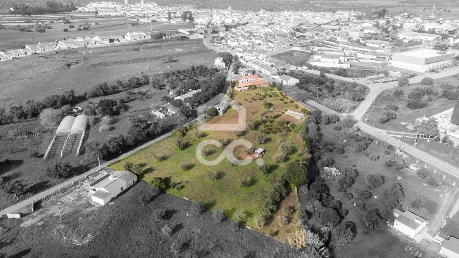 Quinta T5 para Venda em Torrão