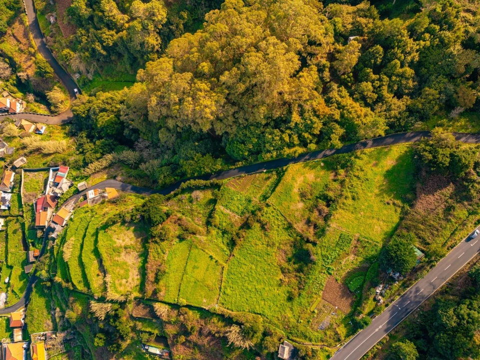 Terreno para Venda em Ribeira da Janela Foto 26