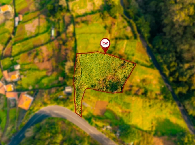 Terreno para Venda em Ribeira da Janela Foto 6