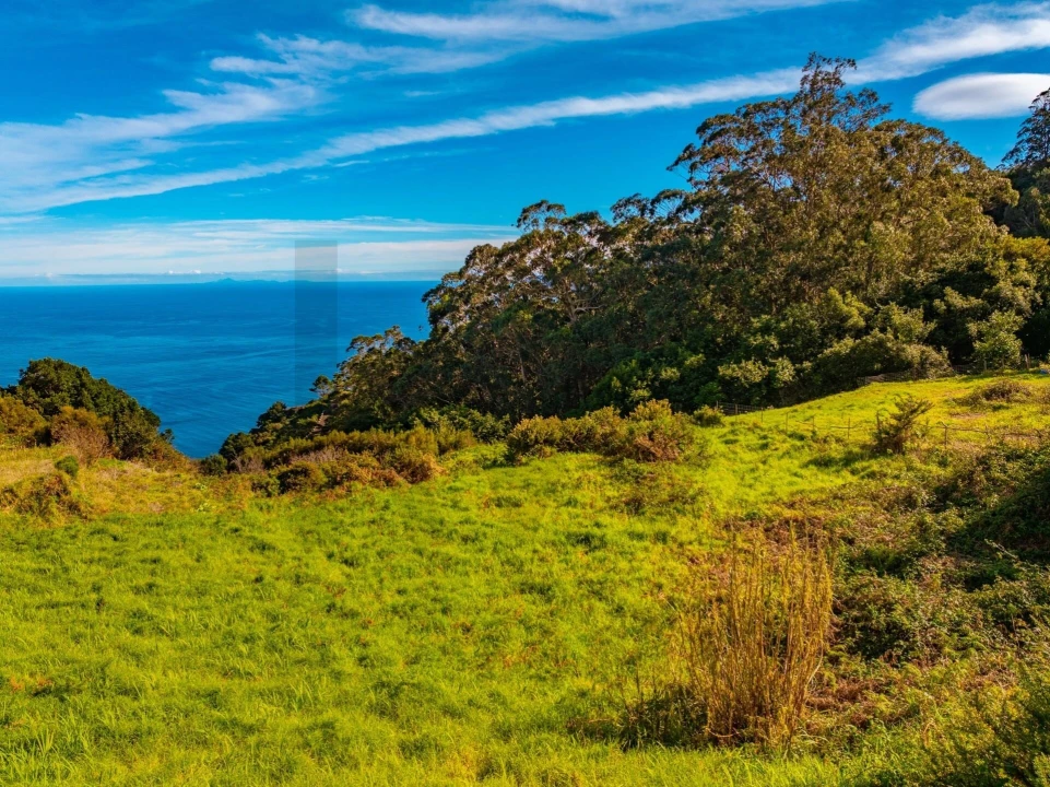 Terreno para Venda em Ribeira da Janela Foto 11