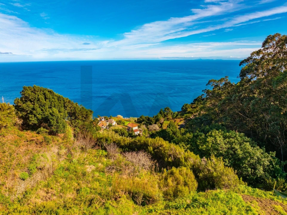 Terreno para Venda em Ribeira da Janela Foto 13