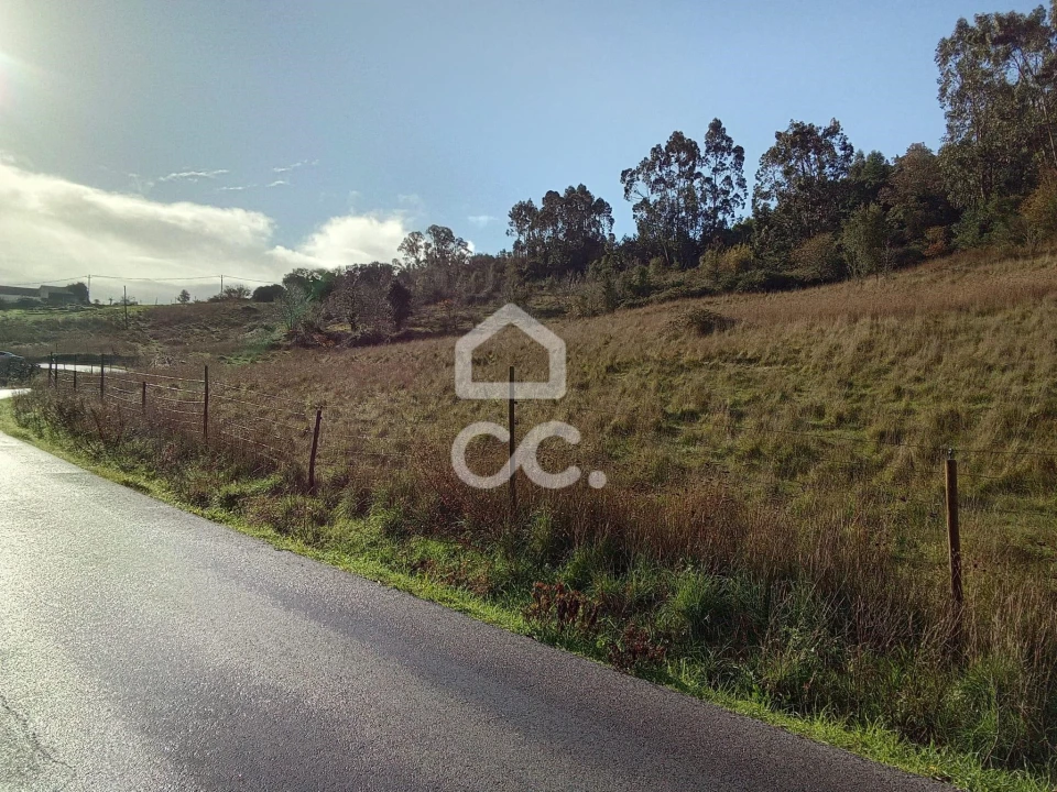 Terreno para Venda em Cadaval e Pêro Moniz Foto 16