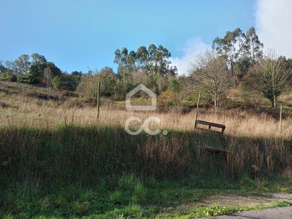 Terreno para Venda em Cadaval e Pêro Moniz Foto 6
