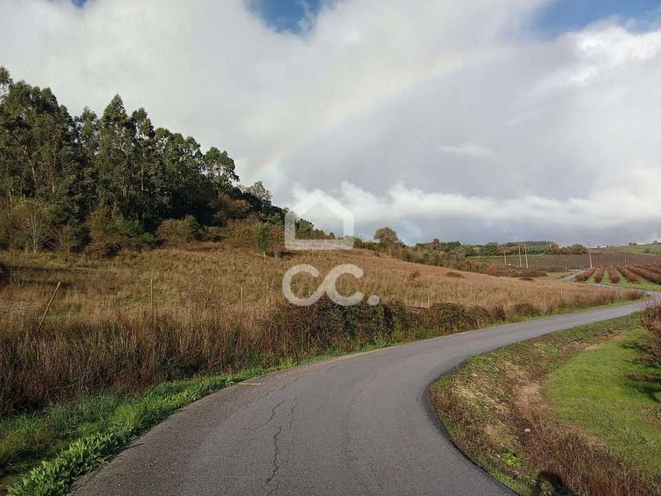 Terreno para Venda em Cadaval e Pêro Moniz Foto 7