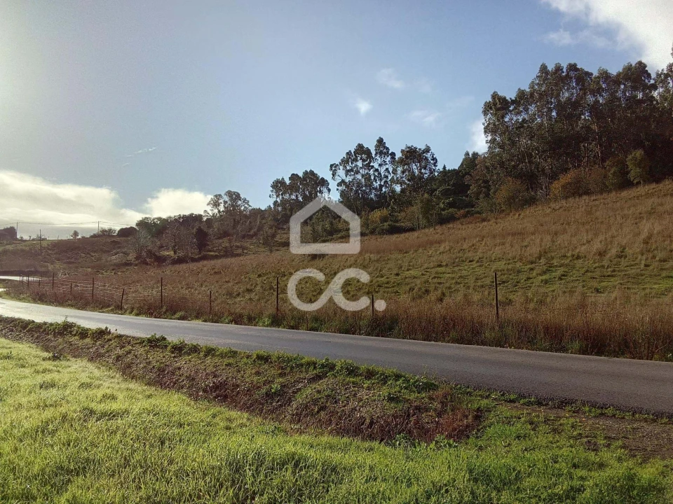 Terreno para Venda em Cadaval e Pêro Moniz Foto 14