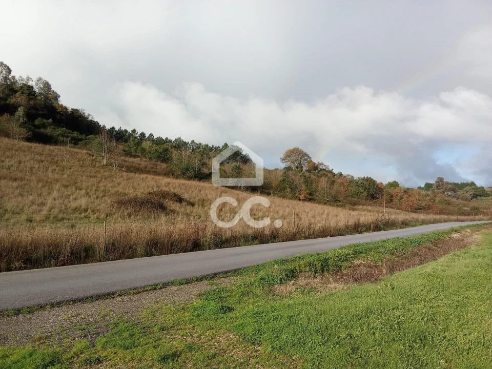 Terreno para Venda em Cadaval e Pêro Moniz Foto 13