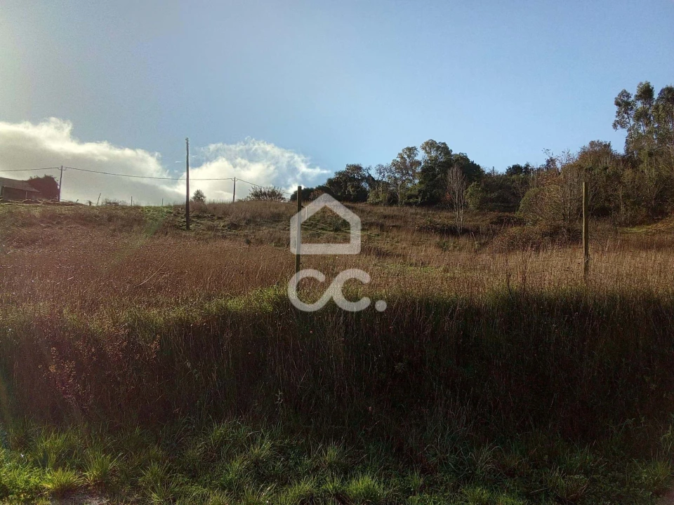 Terreno para Venda em Cadaval e Pêro Moniz Foto 4