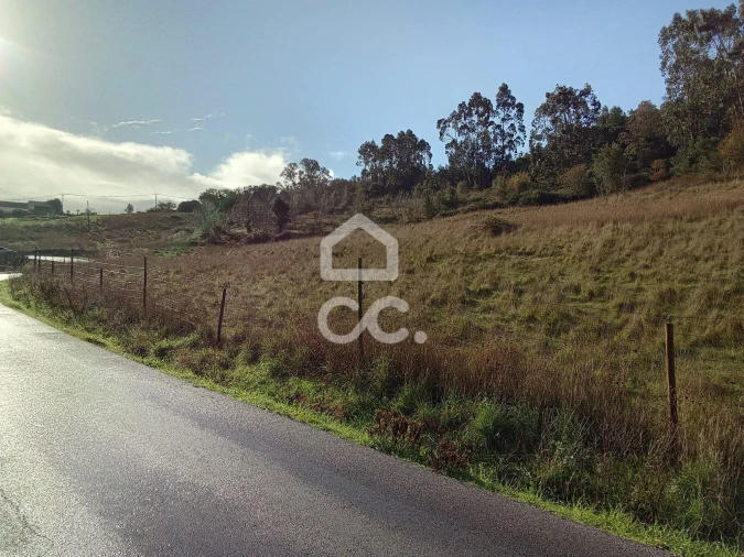 Terreno para Venda em Cadaval e Pêro Moniz Foto 16