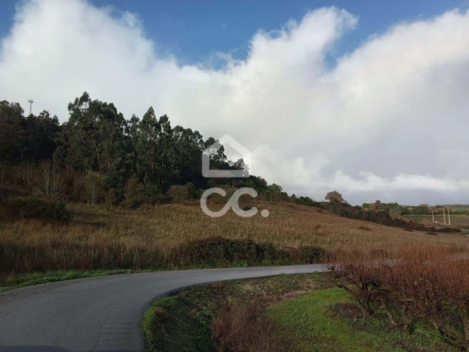 Terreno para Venda em Cadaval e Pêro Moniz Foto 10