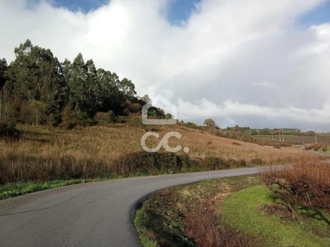 Terreno para Venda em Cadaval e Pêro Moniz Foto 3