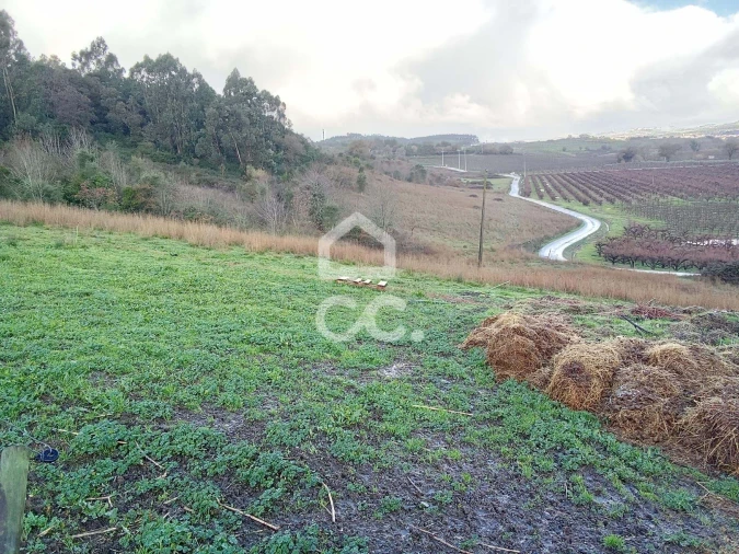Terreno para Venda em Cadaval e Pêro Moniz Foto 2