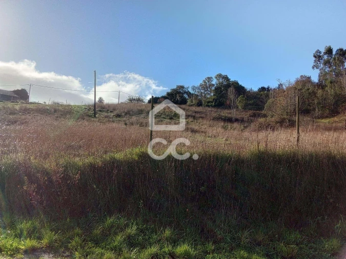Terreno para Venda em Cadaval e Pêro Moniz Foto 5