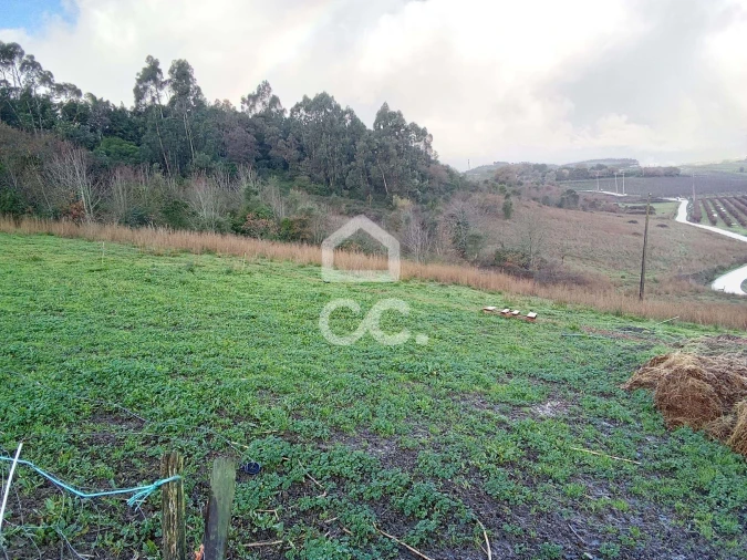 Terreno para Venda em Cadaval e Pêro Moniz Foto 1