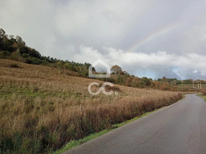 Terreno para Venda em Cadaval e Pêro Moniz Foto 9