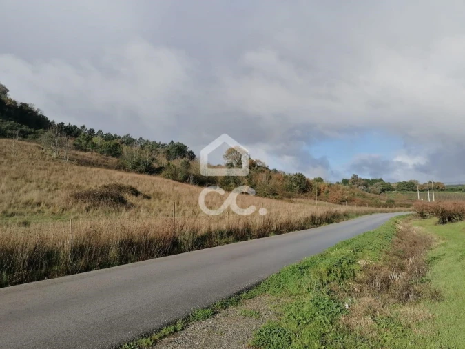 Terreno para Venda em Cadaval e Pêro Moniz Foto 19