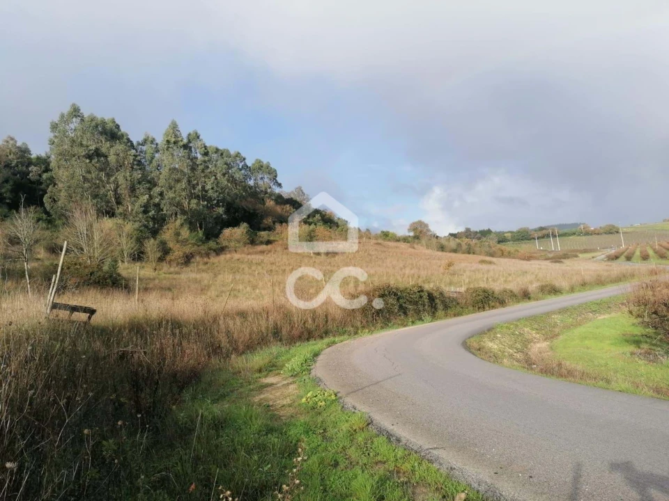 Terreno para Venda em Cadaval e Pêro Moniz Foto 18