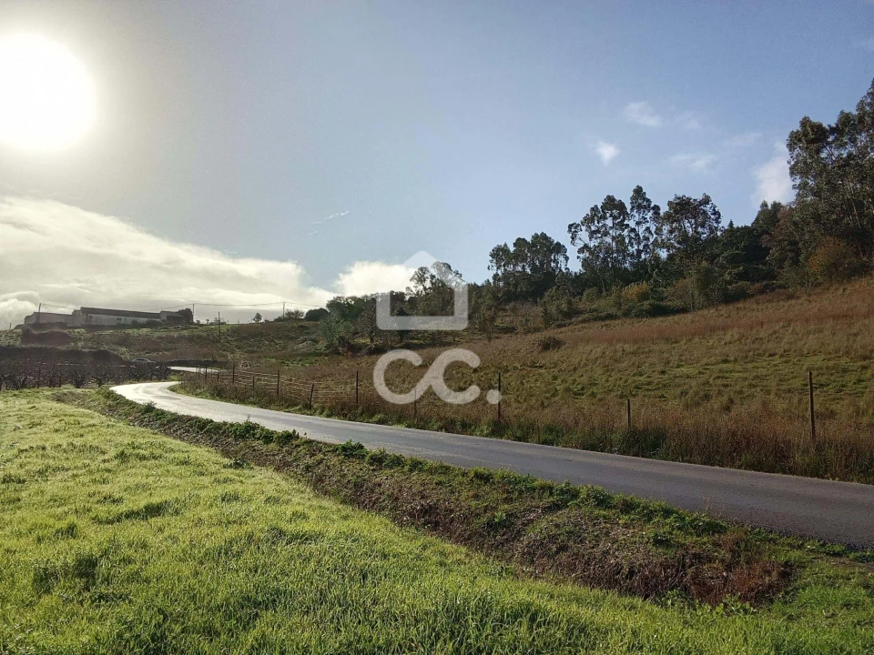 Terreno para Venda em Cadaval e Pêro Moniz Foto 15
