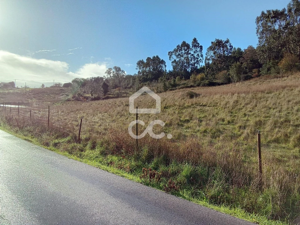 Terreno para Venda em Cadaval e Pêro Moniz Foto 11