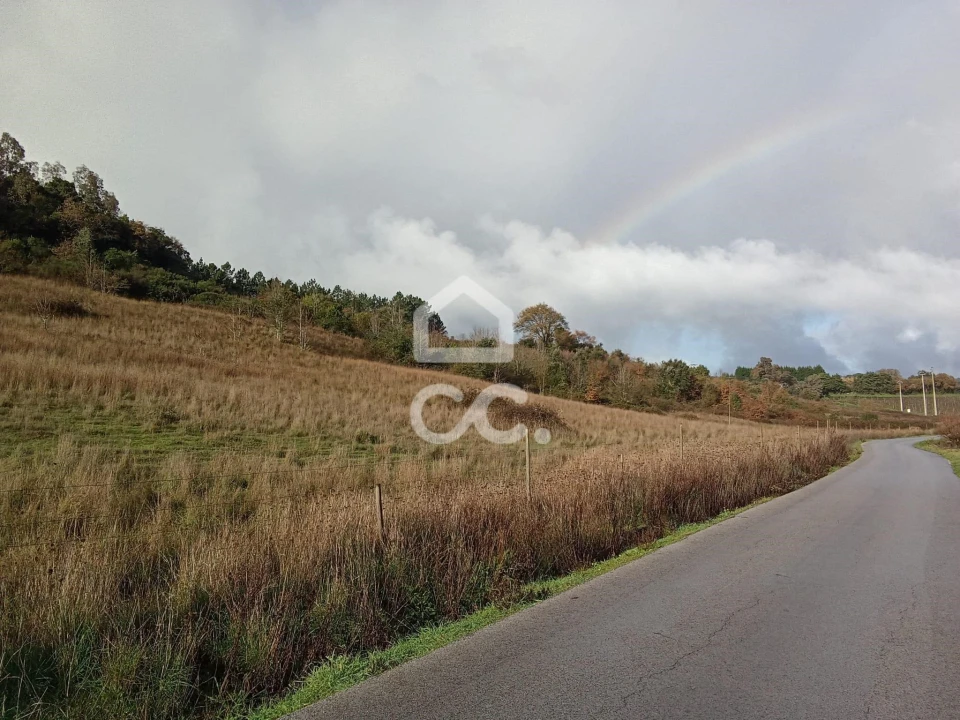 Terreno para Venda em Cadaval e Pêro Moniz Foto 9