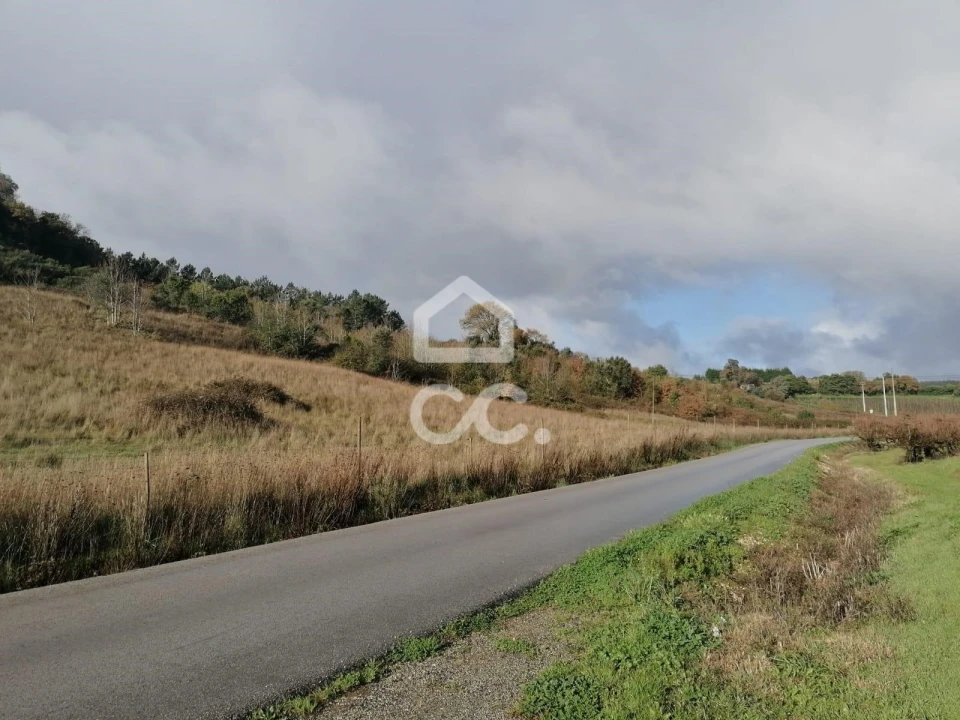Terreno para Venda em Cadaval e Pêro Moniz Foto 19