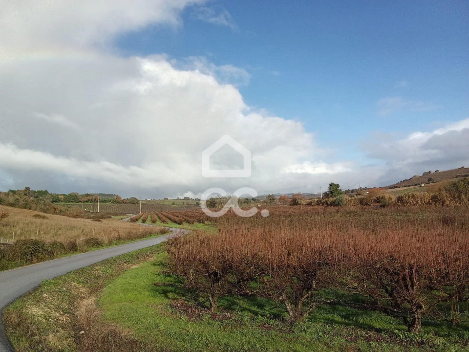 Terreno para Venda em Cadaval e Pêro Moniz Foto 8