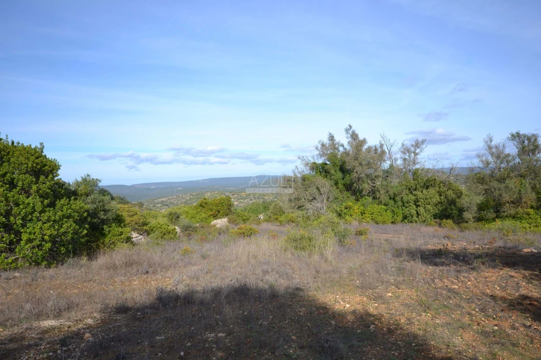 Terreno para Venda em Loule (São Sebastião) Foto 1