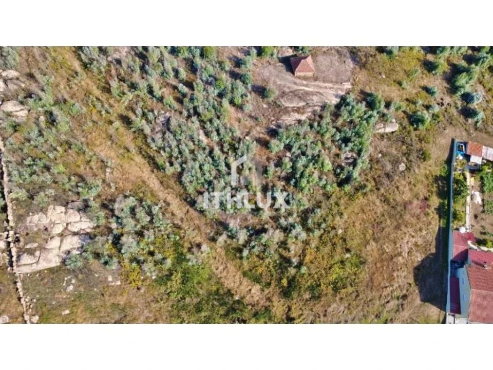 Terreno Agricola ou Rústico para Venda em Penafiel Foto 3