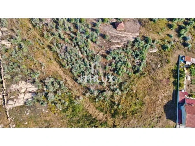 Terreno Agricola ou Rústico para Venda em Penafiel Foto 3