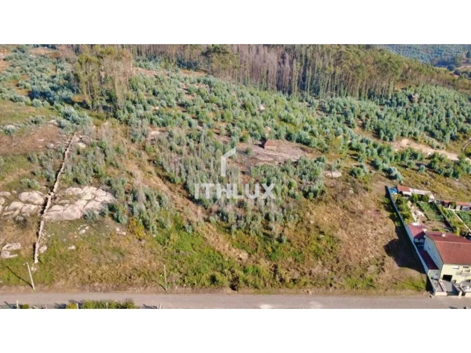 Terreno Agricola ou Rústico para Venda em Penafiel Foto 2