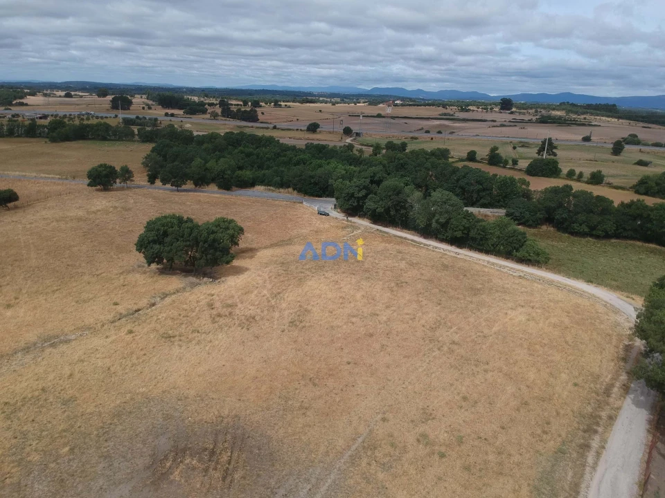 Terreno para Venda em Lardosa Foto 2