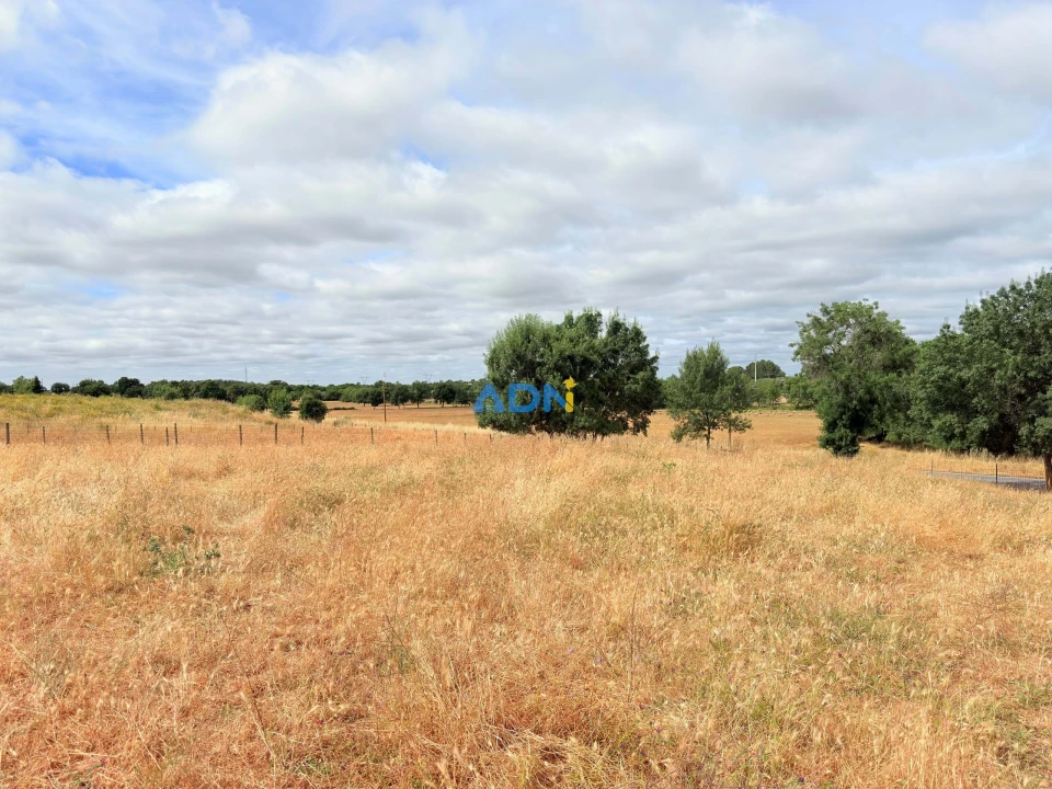 Terreno para Venda em Lardosa Foto 12
