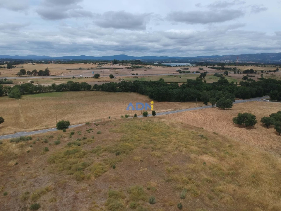 Terreno para Venda em Lardosa Foto 6