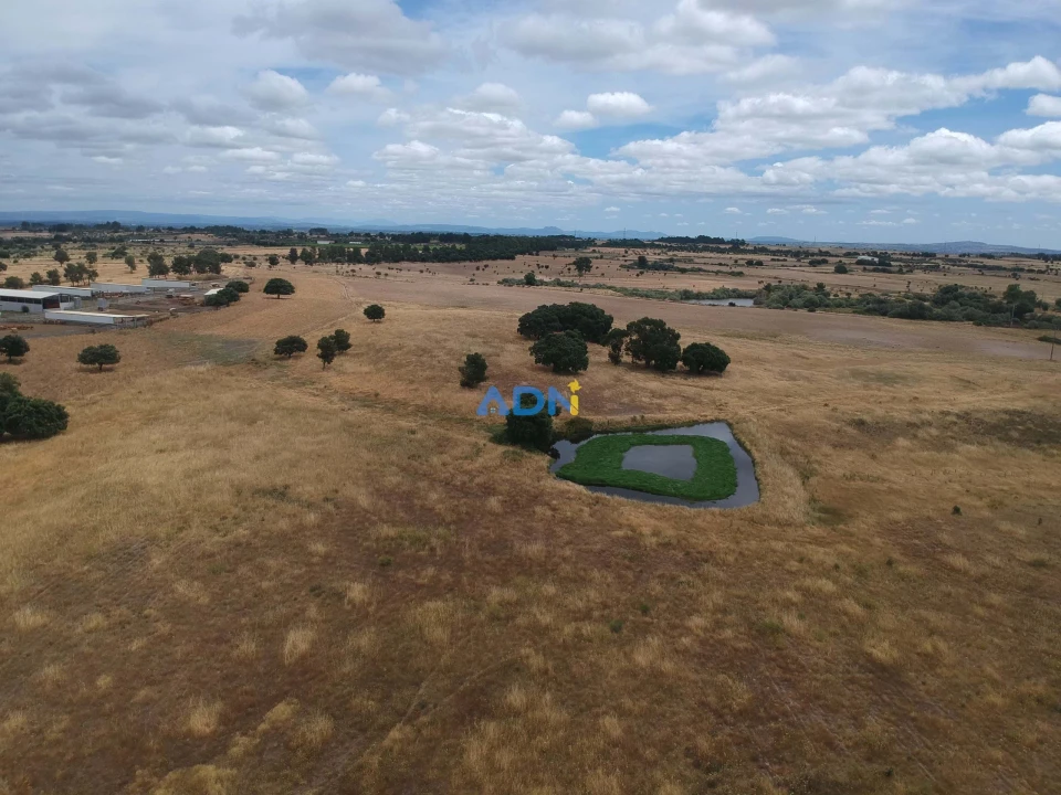Terreno para Venda em Lardosa Foto 9