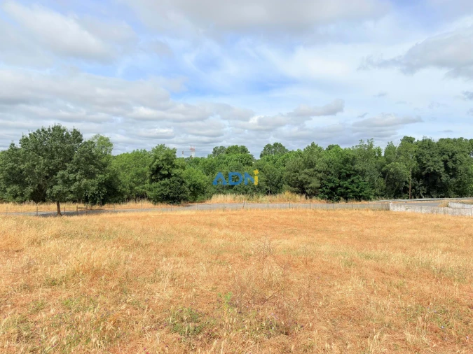 Terreno para Venda em Lardosa Foto 11