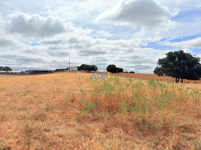 Terreno para Venda em Lardosa Foto 13