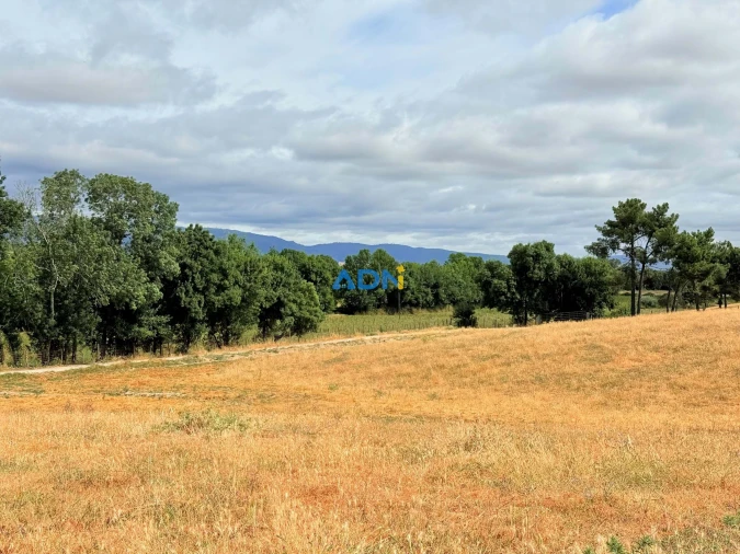 Terreno para Venda em Lardosa Foto 10