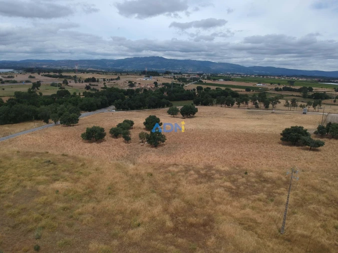 Terreno para Venda em Lardosa Foto 5