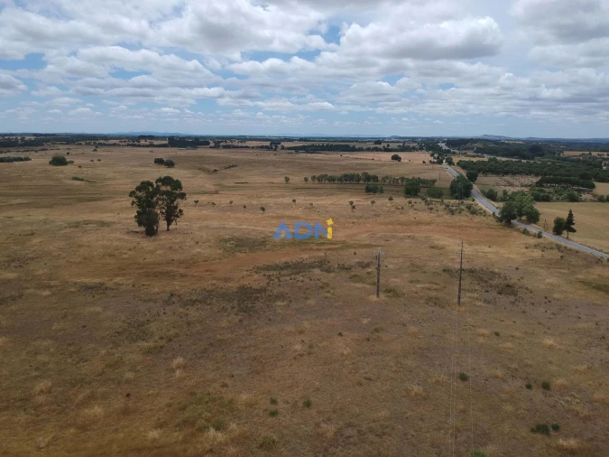 Terreno para Venda em Lardosa Foto 7